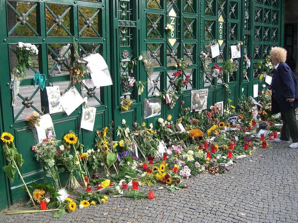 Flowers, candles and notes left at the Berlin Zoo gate for Thomas Dörflein