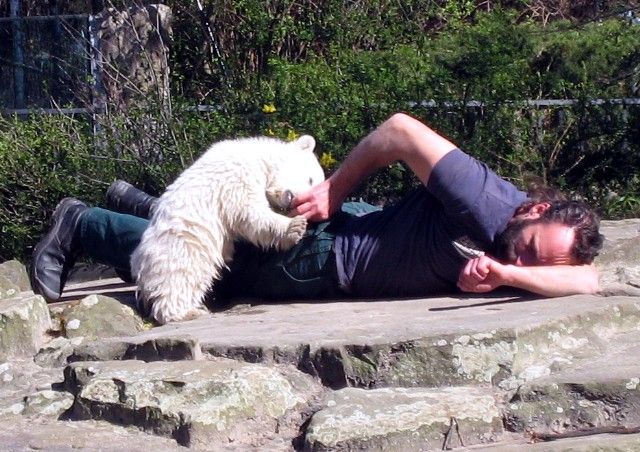 Thomas Dörflein lying on the rocks while Knut climbs on him