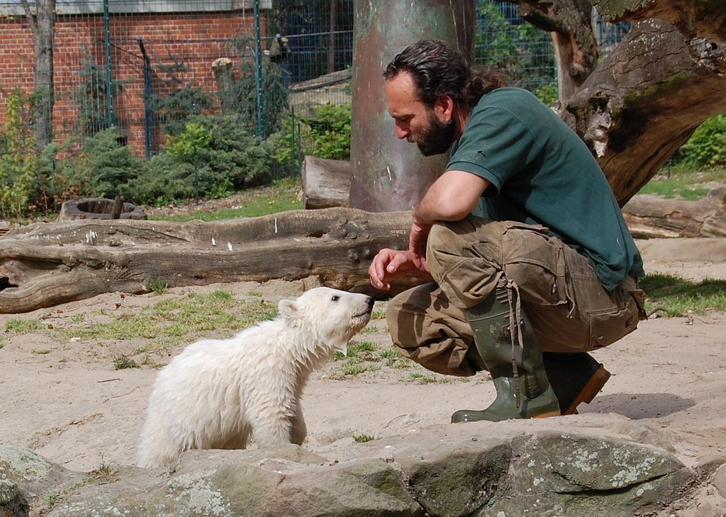 Thomas Dörflein crouching face to face with Knut in the enclosure