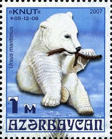Postage stamp of Azerbaijan from 2007 showing Knut, marked 05-12-06